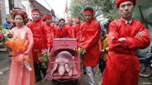 Lễ hội chém lợn ở Bắc Ninh vẫn diễn ra bất chấp làn sóng phẫn nộ lên án về tính dã man của hủ tục này đã khiến sự phản đối càng gia tăng mạnh mẽ. Ảnh: Reuters