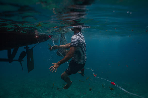 Một ngư dân trẻ nhảy xuống nước để gỡ lưới rối của mình ở gần đảo Lý Sơn. Áp lực từ tàu tuần tra Trung Quốc đã buộc các ngư dân địa phương làm việc gần bờ, tàn phá quần thể cá gần bờ biển Việt Nam.