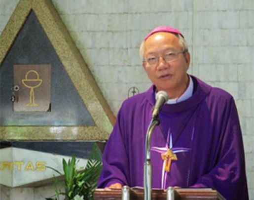 Đức giám mục Phao lô Nguyễn Thái Hợp, ảnh minh họa chụp trước đây. File Photo