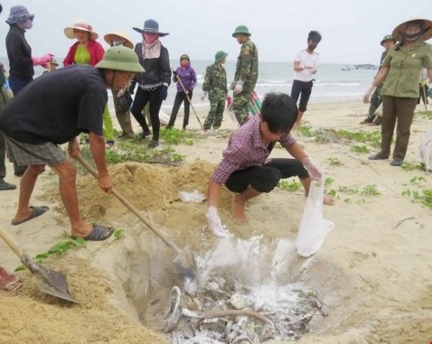 Chôn lấp cá chết tấp vào bờ biển miền Trung hồi tháng 4 vừa qua. (Hình: TTXVN)