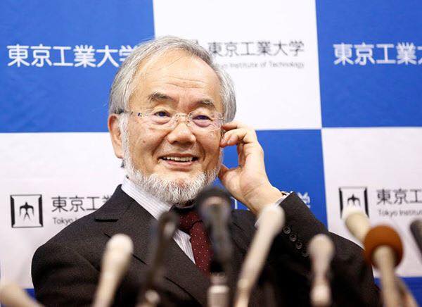 Giáo sư người Nhật, ông Yoshinori Ohsumi vừa nhận được giải Nobel Y học. Ảnh: internet 